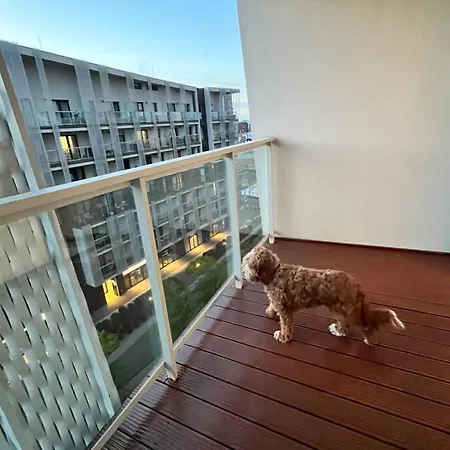 Family House By The River Odra -panoramic Terrace - 3room With 2 Separate Bedrooms And 2 Balconies By Wroapart-pl- Perfect For Family & Business Apartament *