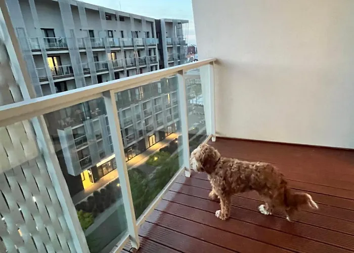 Family House By The River Odra -panoramic Terrace - 3room With 2 Separate Bedrooms And 2 Balconies By Wroapart-pl- Perfect For Family & Business Apartamento *